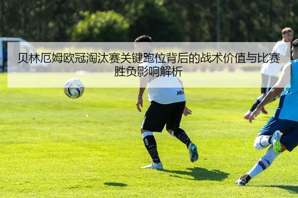 img_1780931475784_443_1_520.jpg
