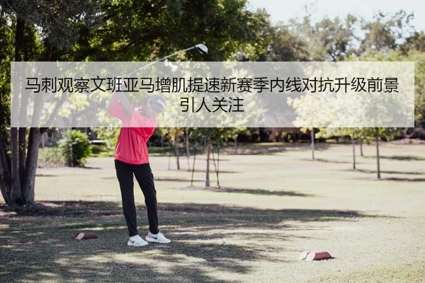 马刺观察文班亚马增肌提速新赛季内线对抗升级前景引人关注
